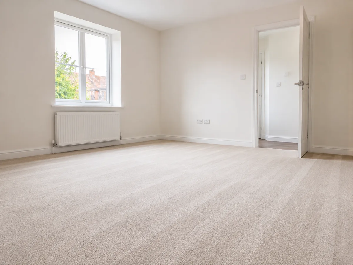 Empty room, clean carpet